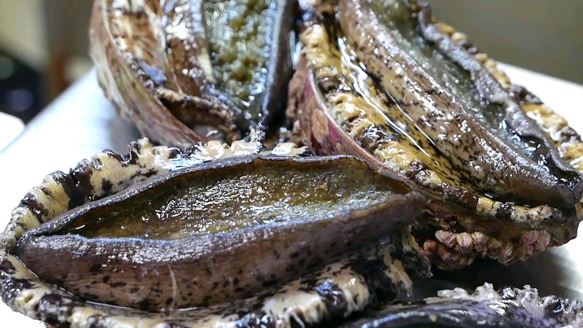 日本美食 - 巨大鲍鱼 鲍鱼肝饭 照寿司(1080P_HD)